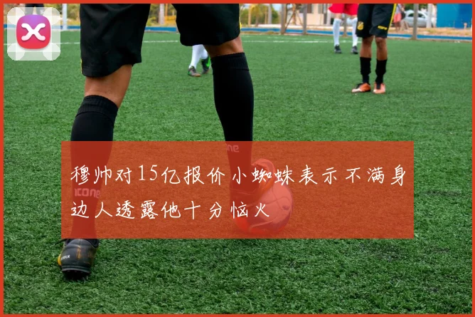 穆帅对15亿报价小蜘蛛表示不满身边人透露他十分恼火